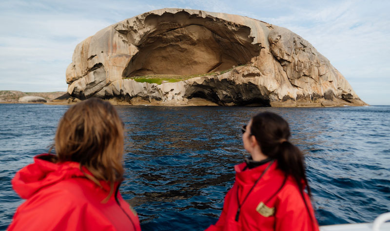 Wildlife Encounters on Land & Sea! Wilsons Promontory Ultimate Tour & Cruise (Ex: Melbourne City) image 4
