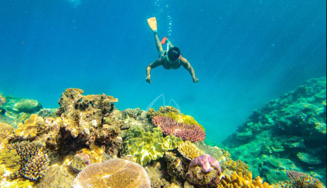 Southern Lights | Ocean Rafting Whitehaven Beach with Snorkeling & Hill Inlet image 2