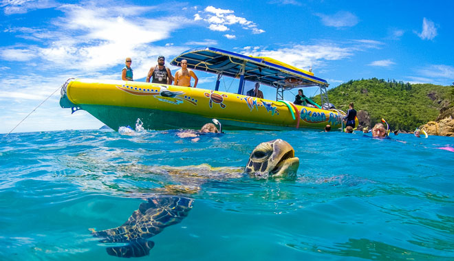 Southern Lights | Ocean Rafting Whitehaven Beach with Snorkeling & Hill Inlet