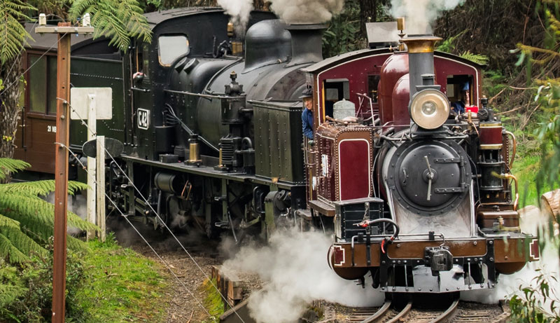 Puffing Billy & Lake Mountain Snow Play Day Tour (Ex: Melbourne) image 2