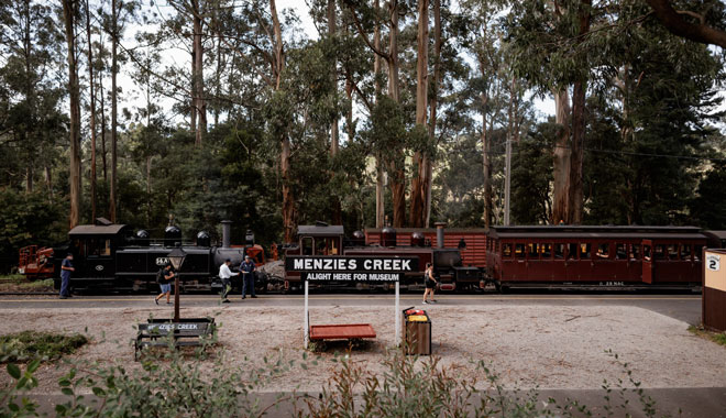 Puffing Billy & Lake Mountain Snow Play Day Tour (Ex: Melbourne) image 4