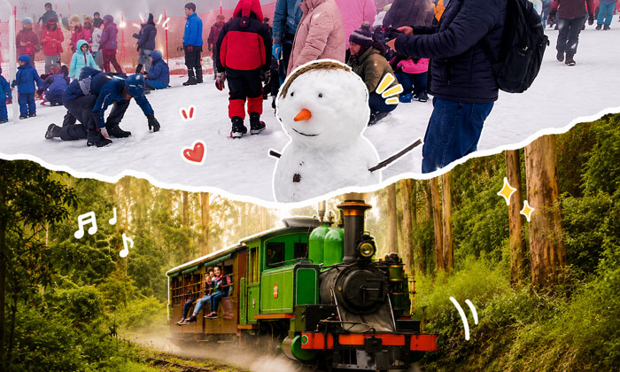 Puffing Billy & Lake Mountain Snow Play Day Tour (Ex: Melbourne)
