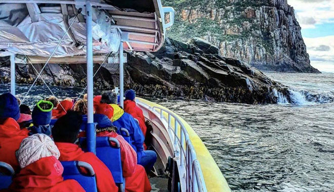 Tasmania | Bruny Island 3 Hour Cruise image 2
