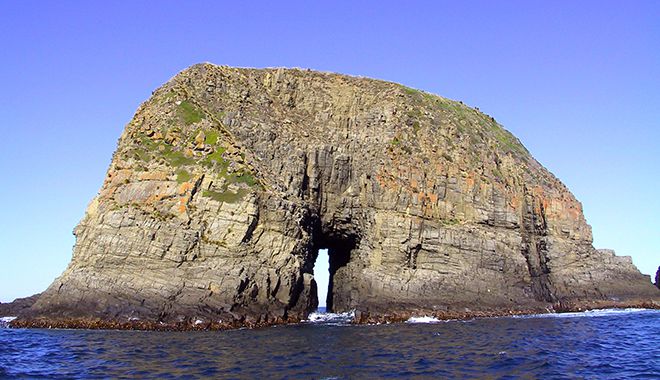 Tasmania | Bruny Island 3 Hour Cruise image 4