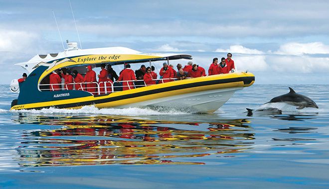 Tasmania | Bruny Island 3 Hour Cruise