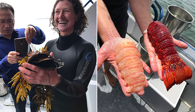 Tasmanian Seafood Seduction image 4