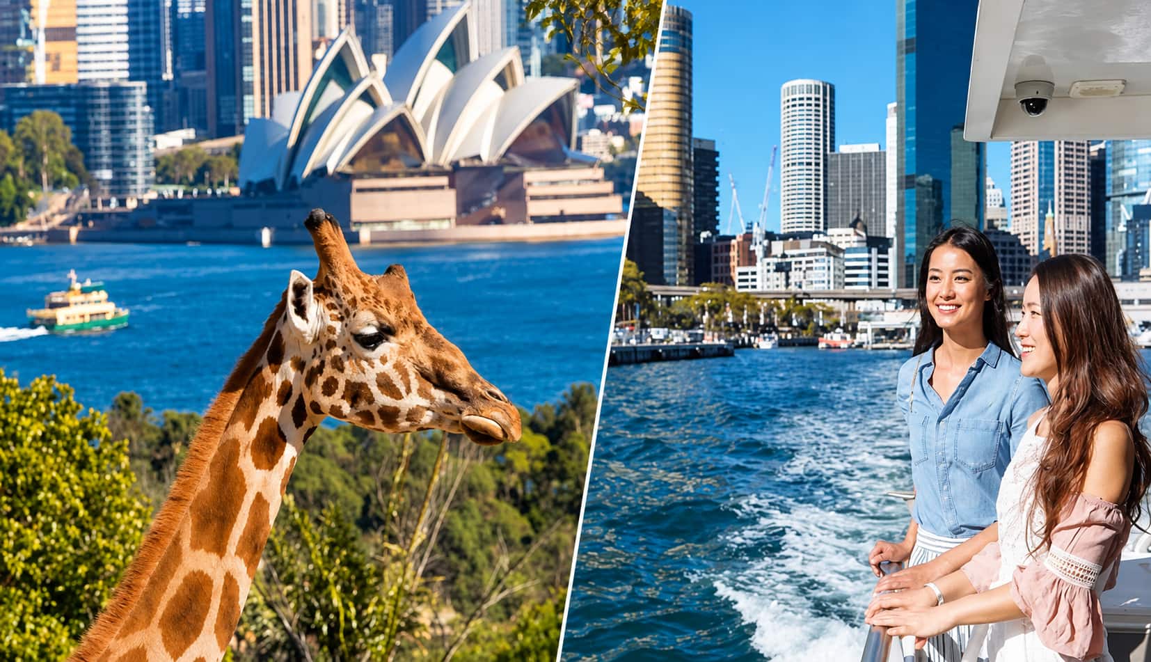 Taronga Zoo Admission | Included Sydney Harbour Ferry Express