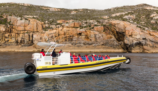 Wilsons Promontory Whale Watching Cruise image 4