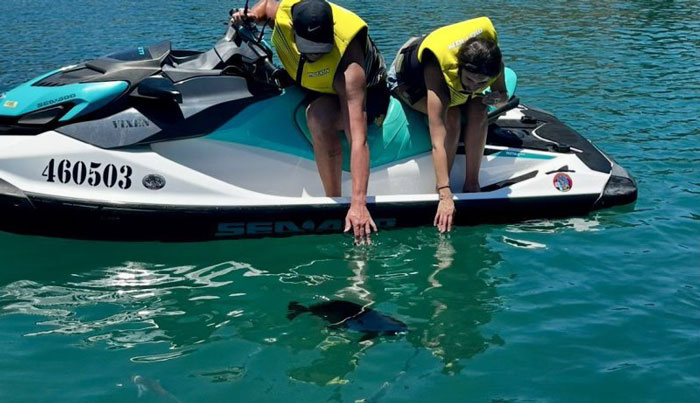 Magnetic Island Jet Ski Tour with Snorkelling image 2