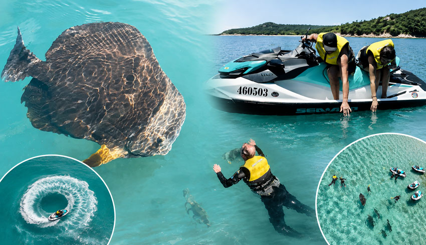 Magnetic Island Jet Ski Tour with Snorkelling image 3