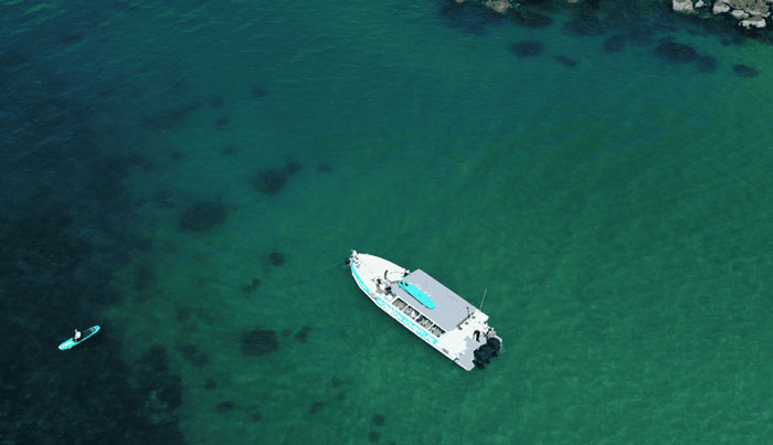 Great Barrier Reef Snorkel Cruise Tour image 3