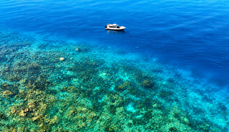 Great Barrier Reef Snorkel Cruise Tour