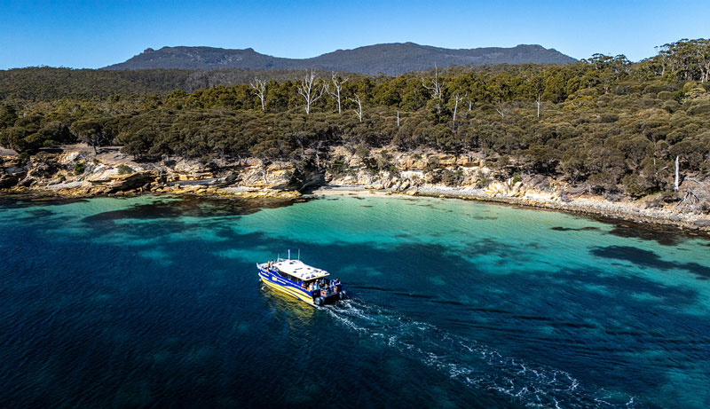 Maria Island Cruise + Walk (Tasmanian Best Island to Visit)