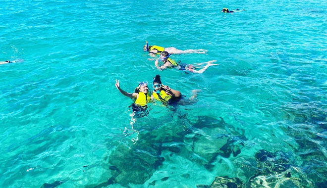 Broadwater Dolphin Kayaking & Snorkelling Tour image 4