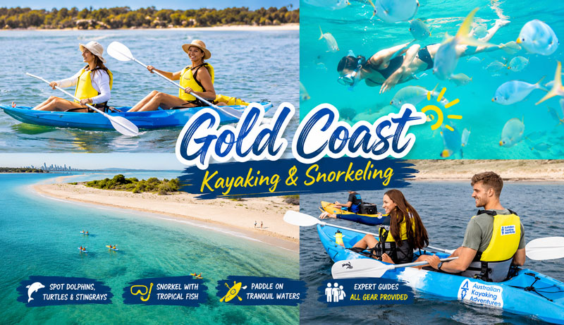 Broadwater Dolphin Kayaking & Snorkelling Tour