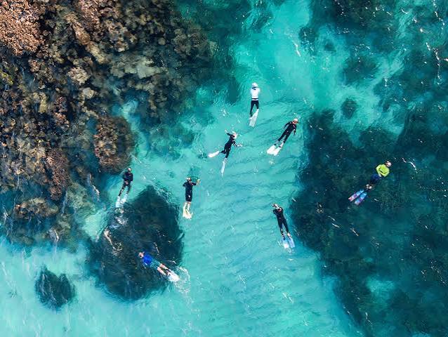 2 Hour Ningaloo Coral Viewing & Snorkel Tour | Ningaloo Reef WA image 4