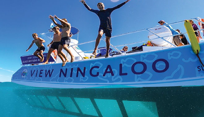 2 Hour Ningaloo Coral Viewing & Snorkel Tour | Ningaloo Reef WA