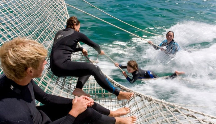 Maureen Cruises | Seals & Dolphins Swim Tour image 3