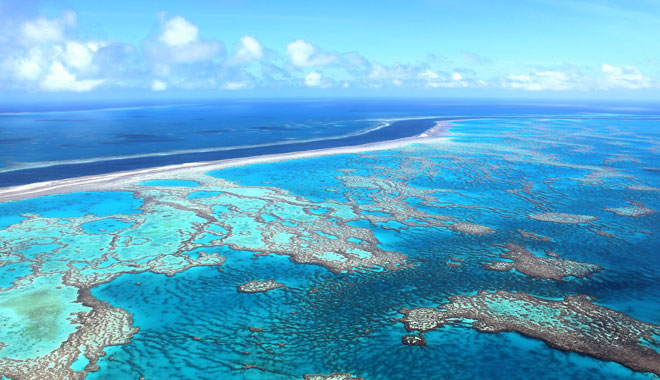 Scenic Flight | Whitsunday Airport image 2