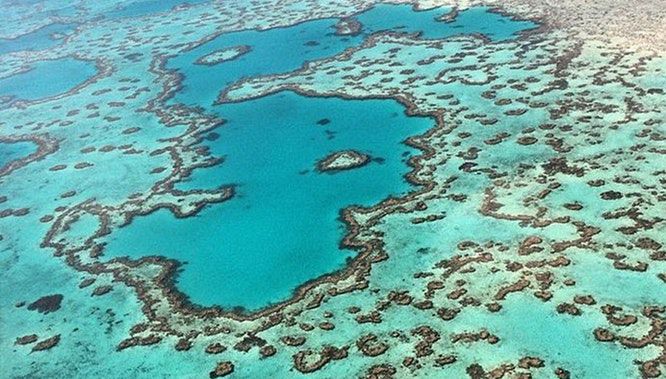 Scenic Flight | Whitsunday Airport image 3