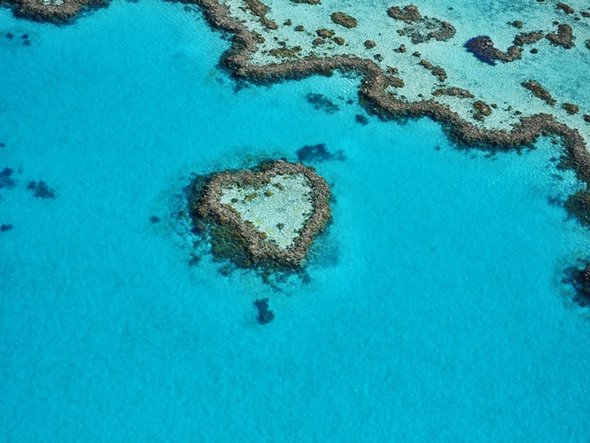 Scenic Flight | Whitsunday Airport image 4