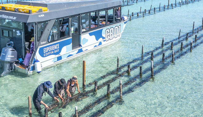 A Taste of Coffin Bay Day Tour image 4