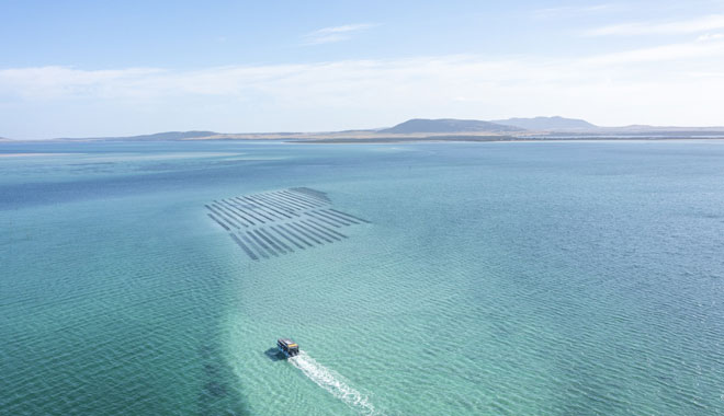 A Taste of Coffin Bay Day Tour image 2